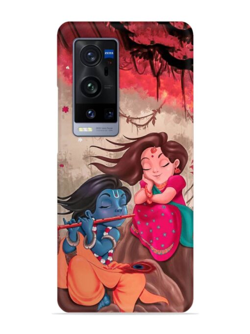 Radhe Krishna Water Art Snap Case for Vivo X60 Pro Plus Zapvi