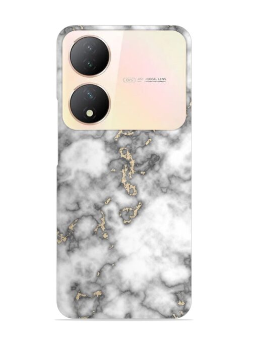 Gray And Gold Marble Snap Case for Vivo Y100 (5G) Zapvi