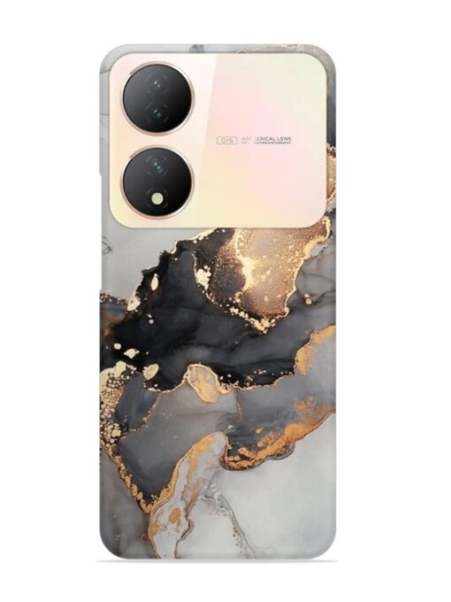 Luxury Abstract Fluid Snap Case for Vivo Y100 (5G) Zapvi