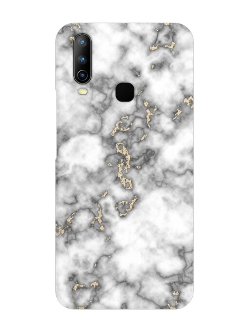 Gray And Gold Marble Snap Case for Vivo Y17 Zapvi