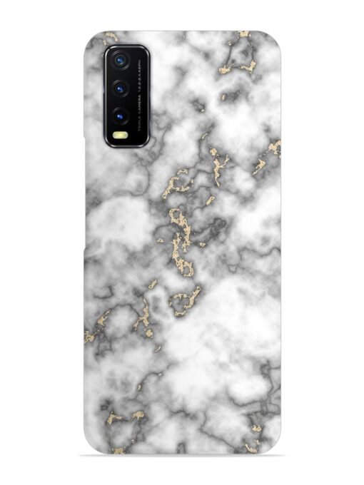 Gray And Gold Marble Snap Case for Vivo Y20 Zapvi