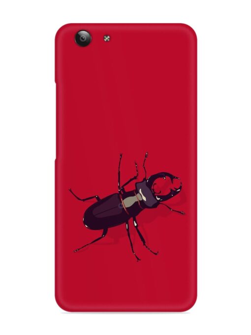 Beetles Snap Case for Vivo Y53 Zapvi