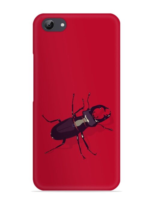 Beetles Snap Case for Vivo Y71 Zapvi