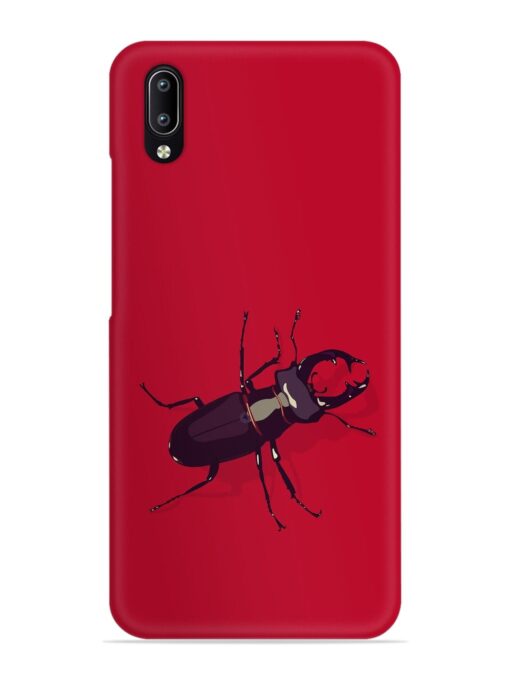 Beetles Snap Case for Vivo Y97 Zapvi