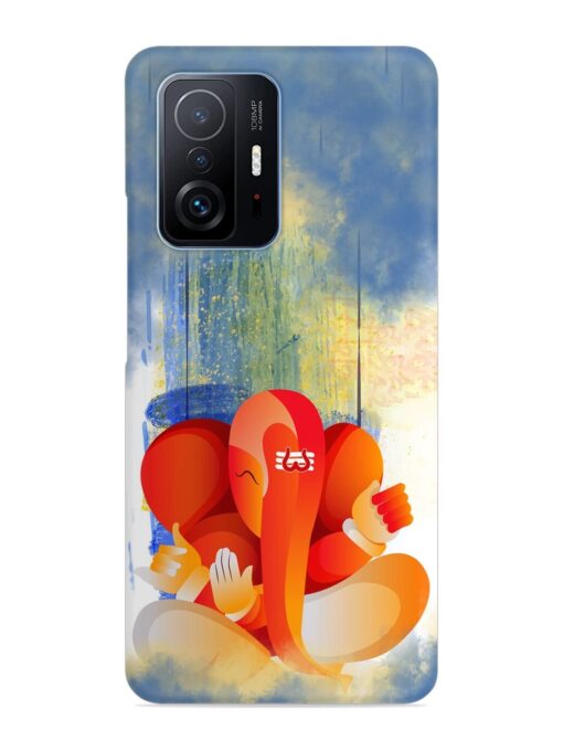 Vector Illustration Lord Snap Case for Xiaomi Mi 11T Pro (5G)