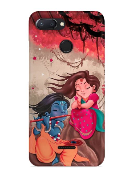 Radhe Krishna Water Art Snap Case for Xiaomi Redmi 6 Zapvi