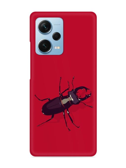 Beetles Snap Case for Xiaomi Redmi Note 12 Pro Plus (5G) Zapvi