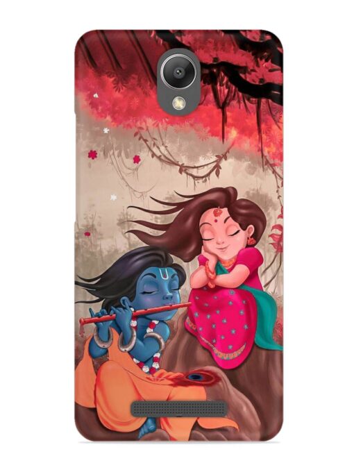 Radhe Krishna Water Art Snap Case for Xiaomi Redmi Note 2 Zapvi