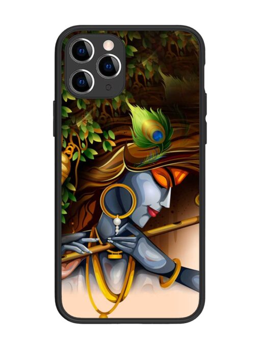 Krishna Glossy Metal Phone Cover for Apple Iphone 11 Pro