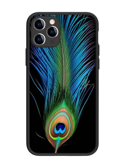 Peacock Feather Glossy Metal TPU Phone Cover for Apple Iphone 11 Pro