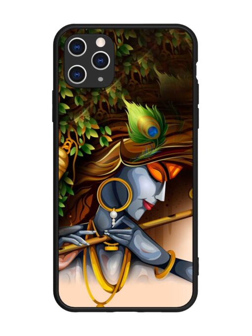 Krishna Glossy Metal Phone Cover for Apple Iphone 11 Pro Max Zapvi