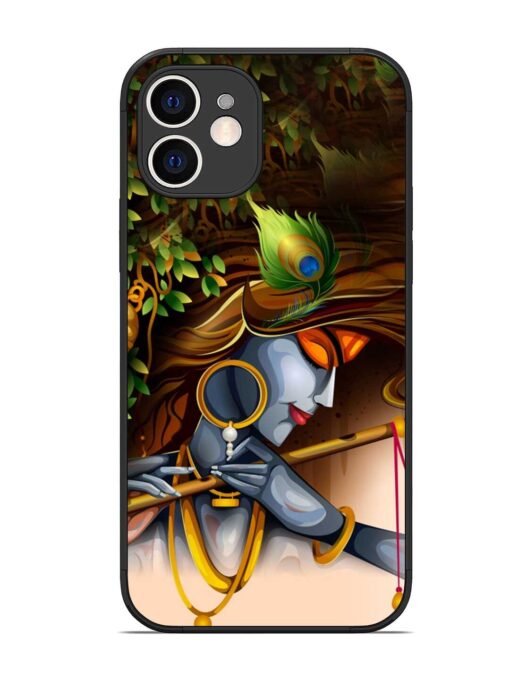 Krishna Glossy Metal Phone Cover for Apple Iphone 12 Zapvi