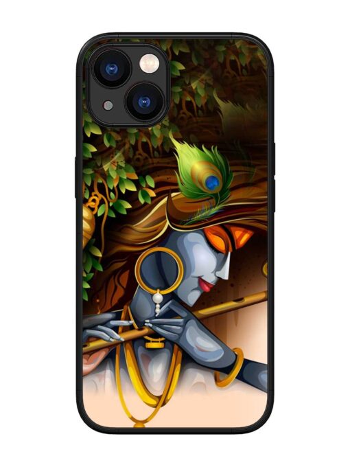 Krishna Glossy Metal Phone Cover for Apple Iphone 13 Zapvi