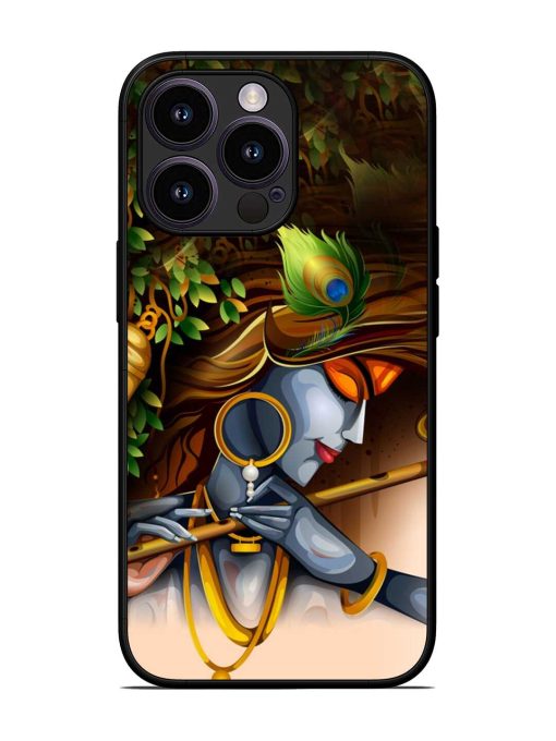 Krishna Glossy Metal Phone Cover for Apple Iphone 13 Pro Zapvi