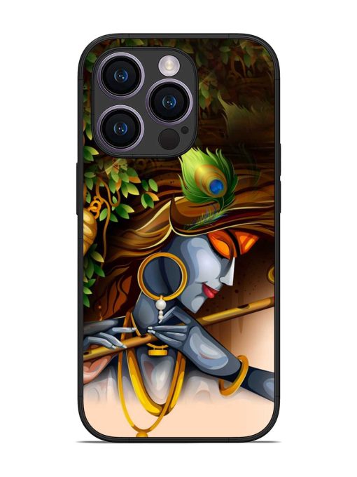 Krishna Glossy Metal Phone Cover for Apple Iphone 14 Pro Zapvi