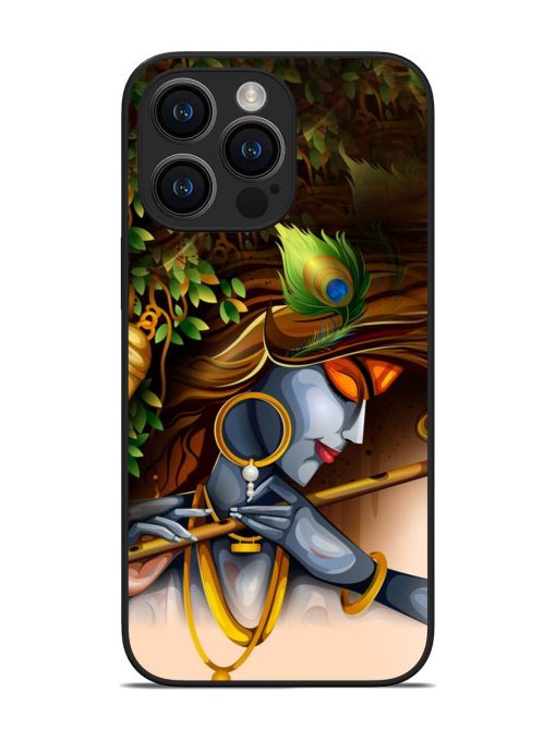 Krishna Glossy Metal Phone Cover for Apple Iphone 14 Pro Max Zapvi