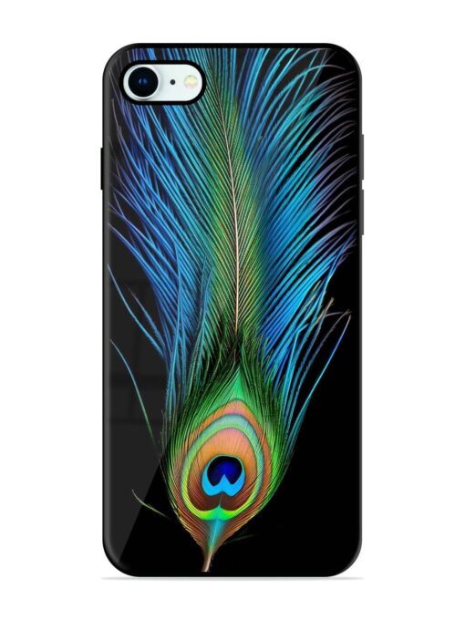 Peacock Feather Glossy Metal TPU Phone Cover for Apple Iphone 8 Zapvi