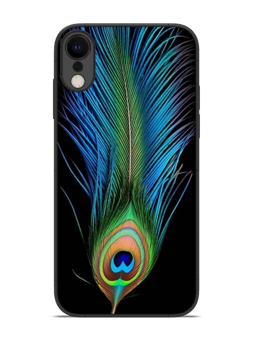 Peacock Feather Glossy Metal TPU Phone Cover for Apple Iphone Xr Zapvi