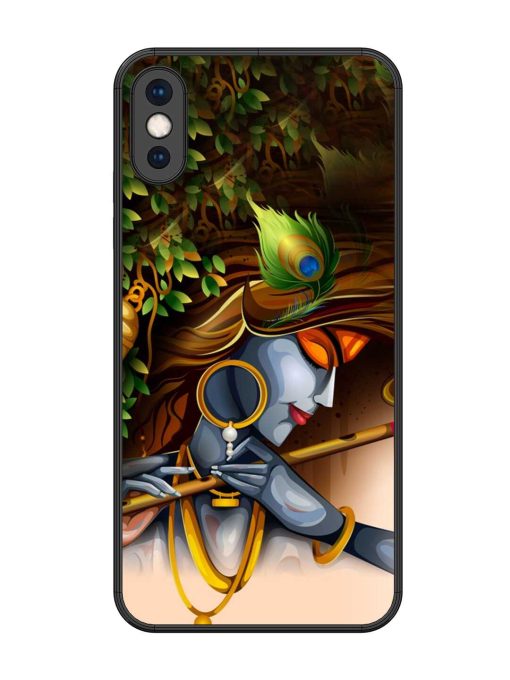 Krishna Glossy Metal Phone Cover for Apple Iphone Xs Max