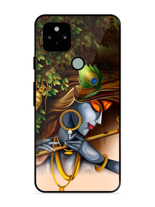 Krishna Glossy Metal Phone Cover for Google Pixel 5 Zapvi