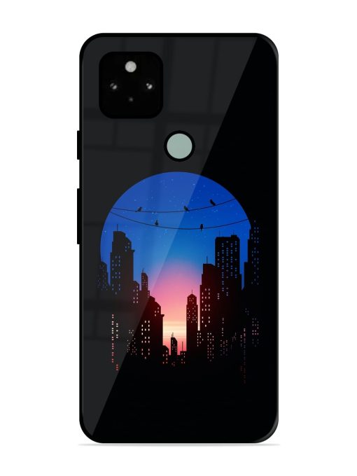 Minima City Vibe Glossy Metal Phone Cover for Google Pixel 5 Zapvi