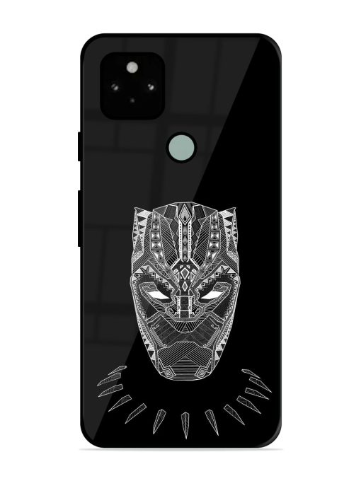 Fictional Art Glossy Metal Phone Cover for Google Pixel 5 Zapvi