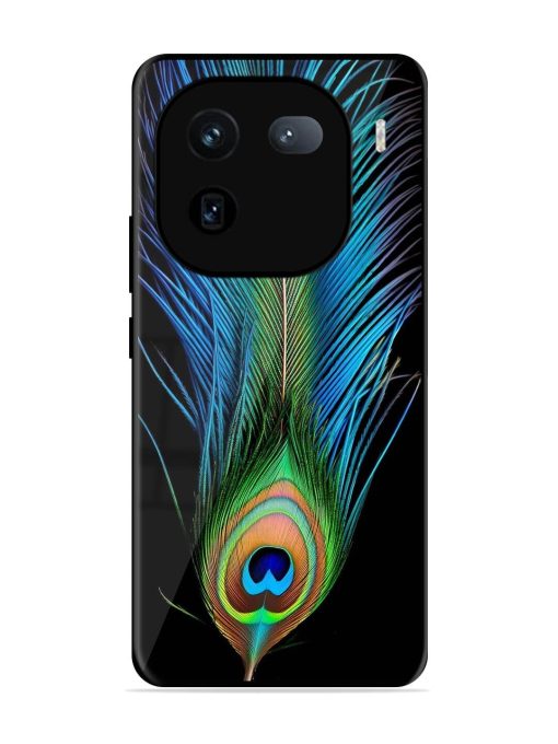 Peacock Feather Glossy Metal TPU Phone Cover for Iqoo 12 (5G) Zapvi