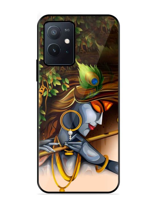 Krishna Glossy Metal Phone Cover for Iqoo Z6 (5G) Zapvi