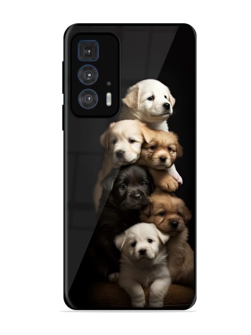 Cute Baby Dogs Glossy Metal Phone Cover for Motorola Edge 20 Pro Zapvi