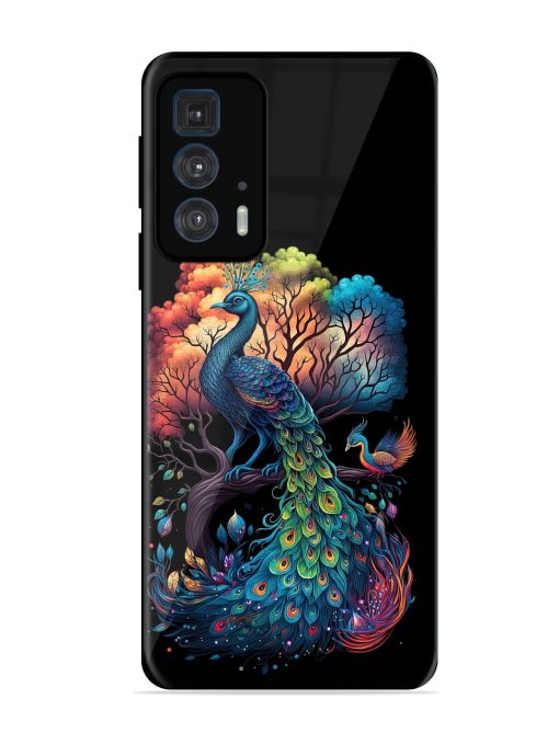 Peacock Tree Art Glossy Metal Phone Cover for Motorola Edge 20 Pro Zapvi