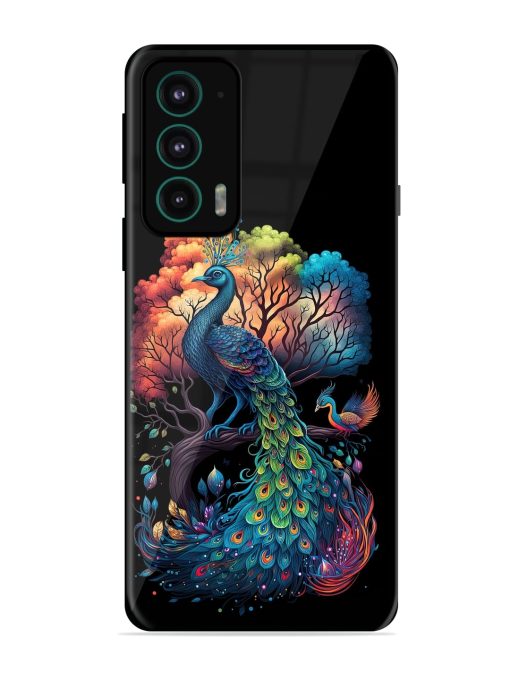 Peacock Tree Art Glossy Metal Phone Cover for Motorola Moto Edge 20 Zapvi