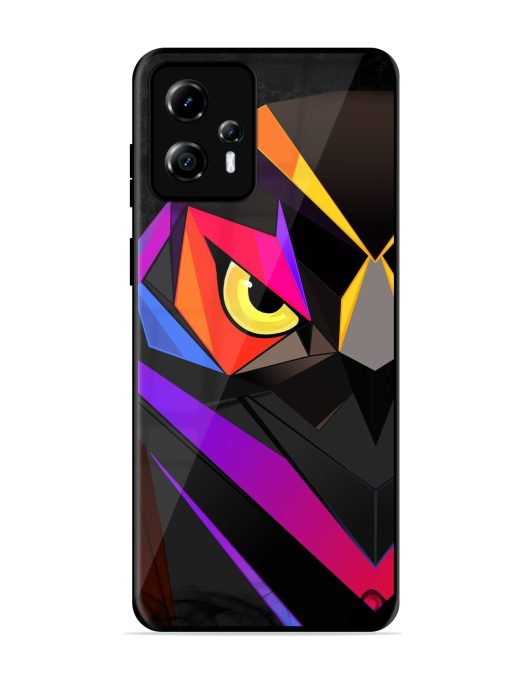 Wpap Owl Glossy Metal Phone Cover for Motorola Moto G13 Zapvi