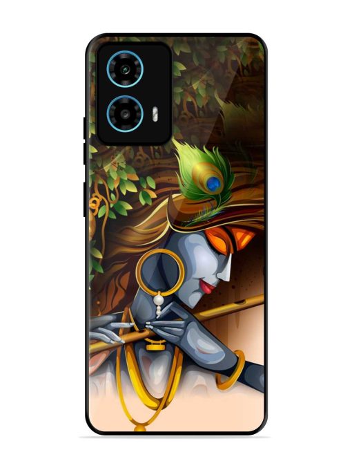 Krishna Glossy Metal Phone Cover for Motorola Moto G34 (5G) Zapvi