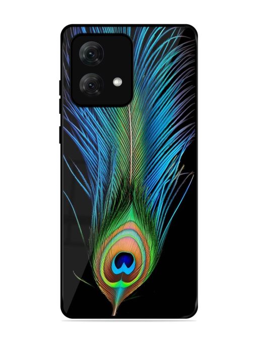 Peacock Feather Glossy Metal TPU Phone Cover for Motorola Moto G84 (5G) Zapvi