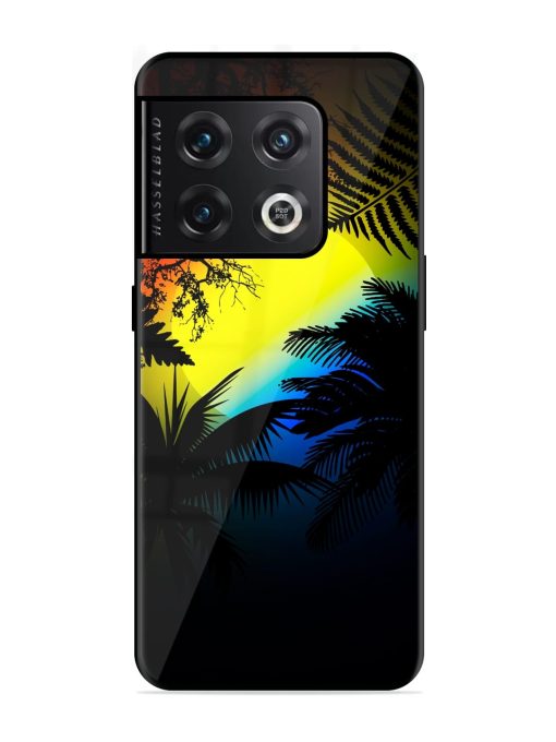 Colorful Sunset With Palm Trees Glossy Metal Phone Cover for Oneplus 10 Pro (5G) Zapvi