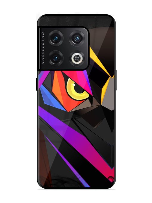 Wpap Owl Glossy Metal Phone Cover for Oneplus 10 Pro (5G) Zapvi