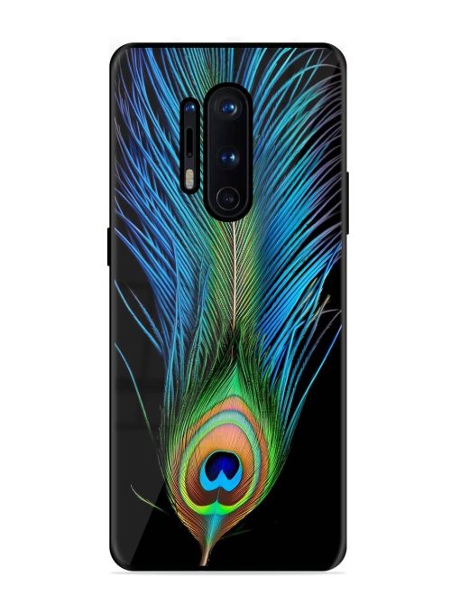 Peacock Feather Glossy Metal TPU Phone Cover for Oneplus 8 Pro Zapvi