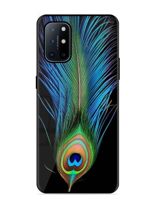 Peacock Feather Glossy Metal TPU Phone Cover for Oneplus 8T (5G) Zapvi