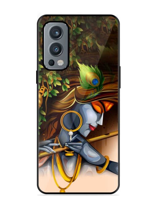 Krishna Glossy Metal Phone Cover for Oneplus Nord 2 (5G) Zapvi