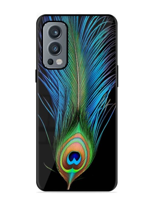 Peacock Feather Glossy Metal TPU Phone Cover for Oneplus Nord 2 (5G) Zapvi