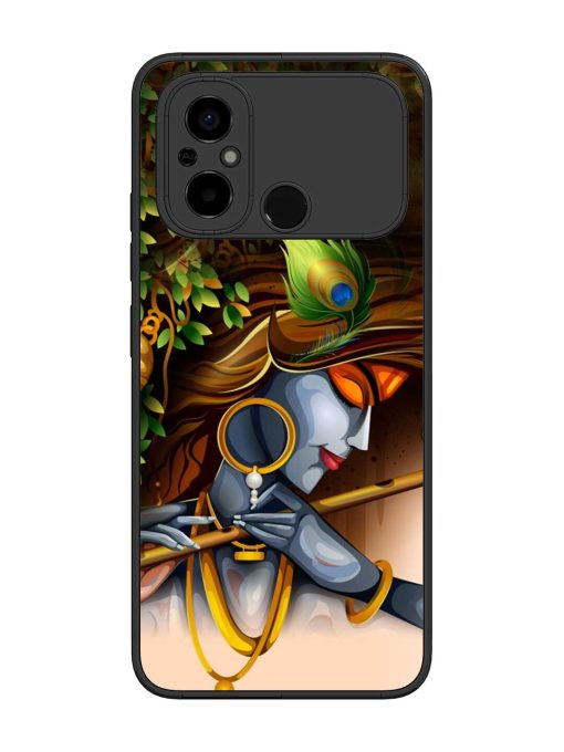 Krishna Glossy Metal Phone Cover for Poco C55 Zapvi