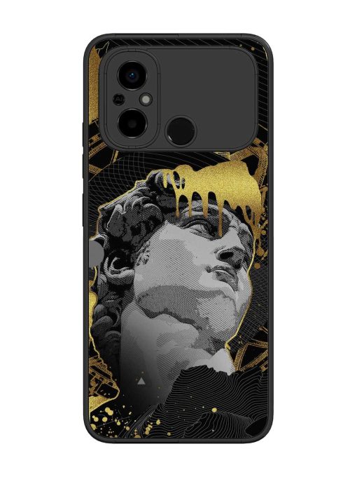 Roman Face Glossy Metal Phone Cover for Poco C55 Zapvi