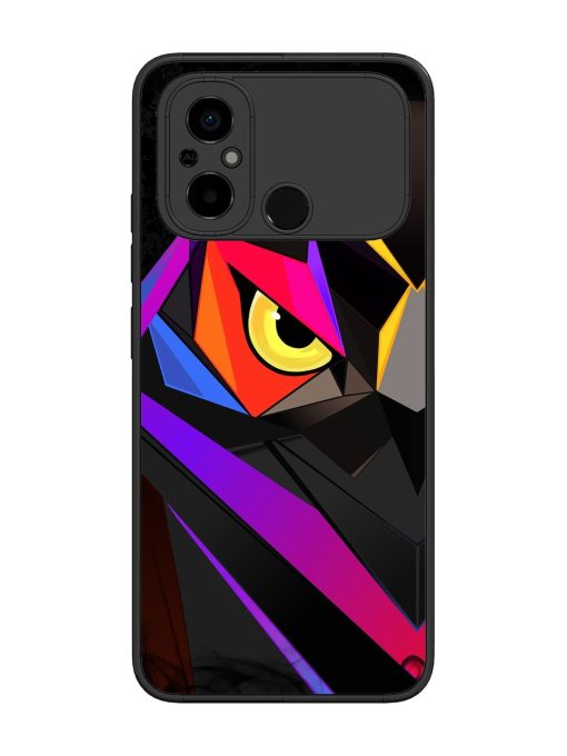 Wpap Owl Glossy Metal Phone Cover for Poco C55 Zapvi