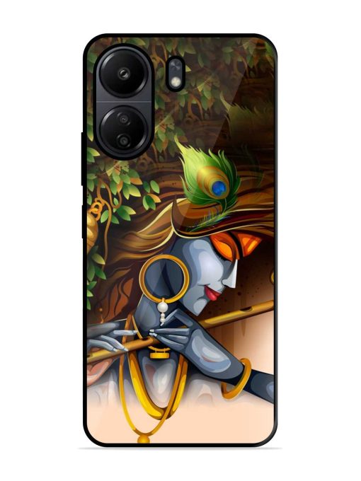 Krishna Glossy Metal Phone Cover for Poco C65 Zapvi