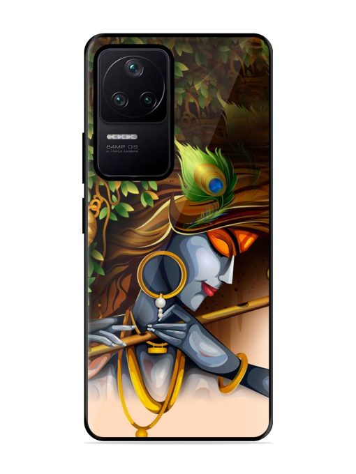 Krishna Glossy Metal Phone Cover for Poco F4 (5G) Zapvi