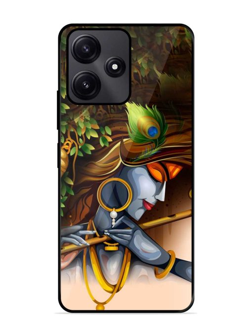 Krishna Glossy Metal Phone Cover for Poco M6 Pro (5G) Zapvi