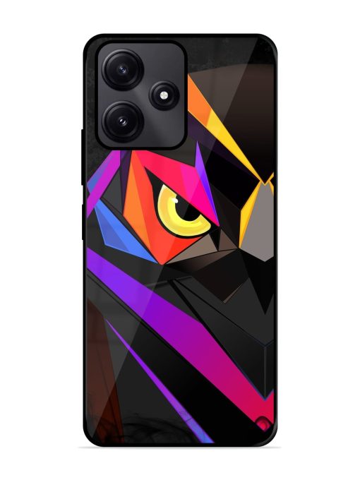 Wpap Owl Glossy Metal Phone Cover for Poco M6 Pro (5G)