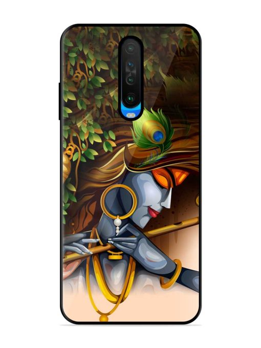 Krishna Glossy Metal Phone Cover for Poco X2 Zapvi