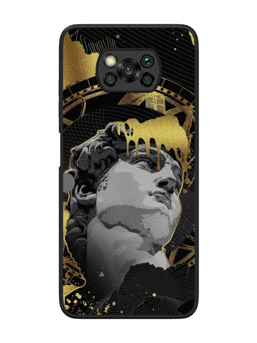 Roman Face Glossy Metal Phone Cover for Poco X3 Zapvi