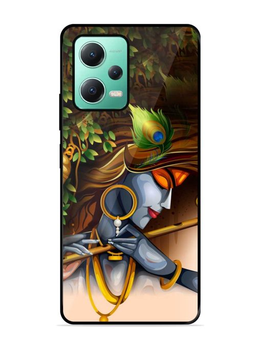 Krishna Glossy Metal Phone Cover for Poco X5 (5G)